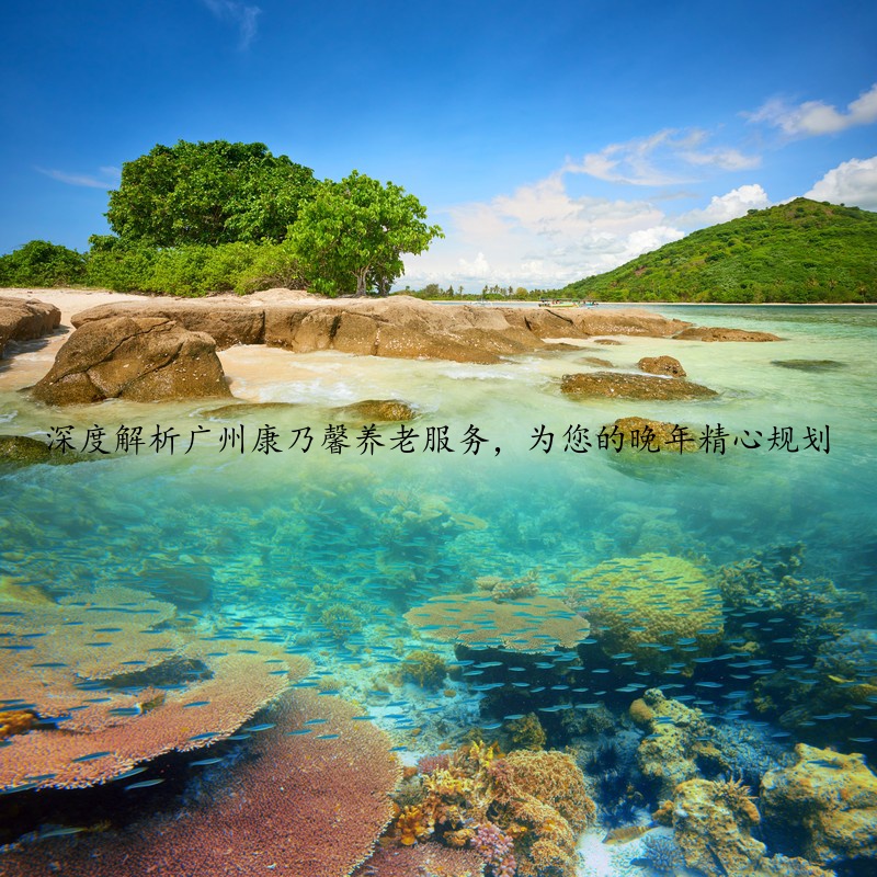 深度解析广州康乃馨养老服务，为您的晚年精心规划