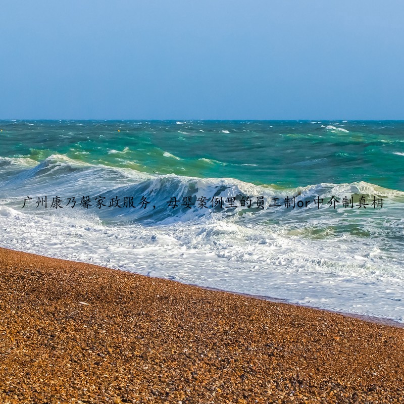 广州康乃馨家政服务，母婴案例里的员工制or中介制真相