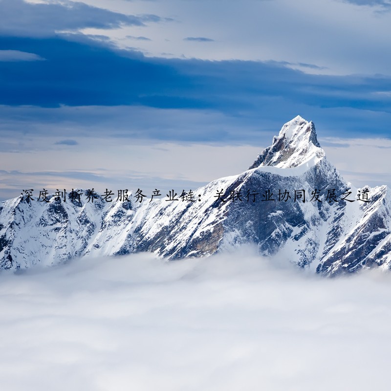 深度剖析养老服务产业链：关联行业协同发展之道