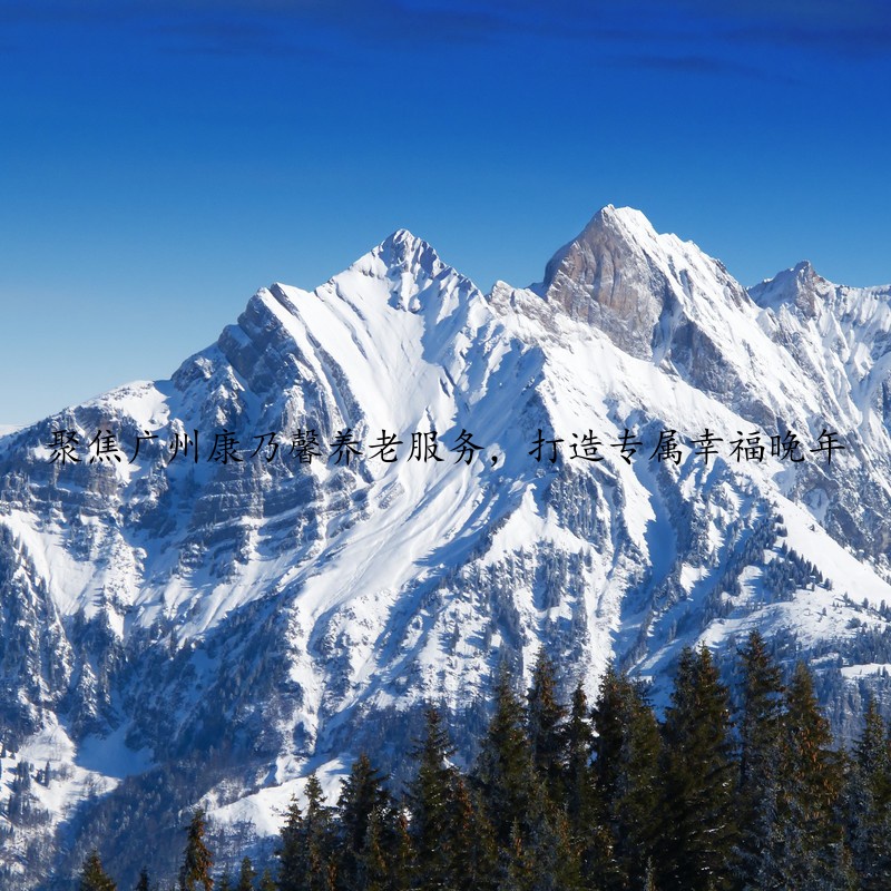 聚焦广州康乃馨养老服务，打造专属幸福晚年