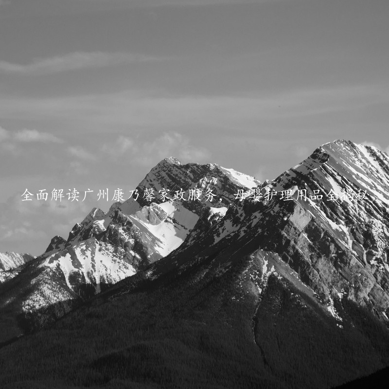 全面解读广州康乃馨家政服务，母婴护理用品全揭秘